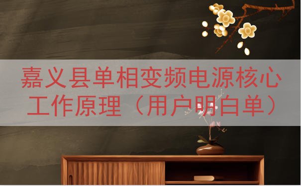 嘉义县单相变频电源核心工作原理（用户明白单）